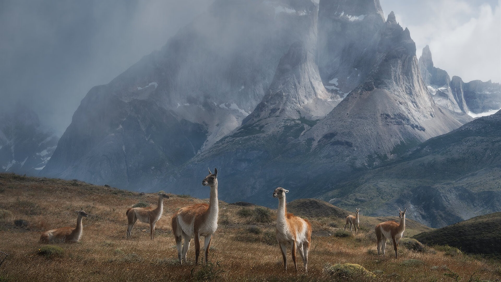 Leyu Sport登录入口-_森林狼士气高昂，努力冲击季后赛_，森林狼队最新球员名单