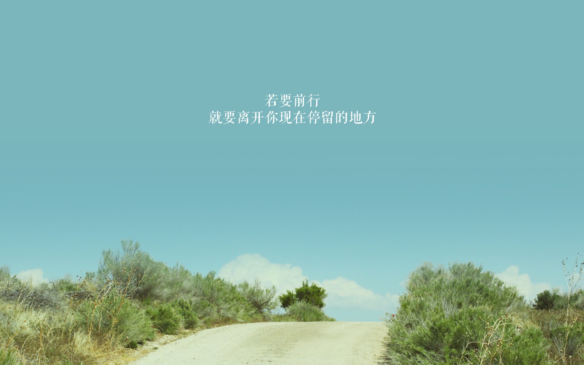 “海岸线飙车:沿海赛段的贵族速度”,海岸线解说