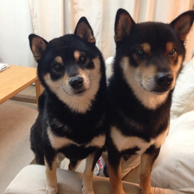 史上最年轻“欧洲金靴”冠军归来,未来可期,欧洲最年轻mvp