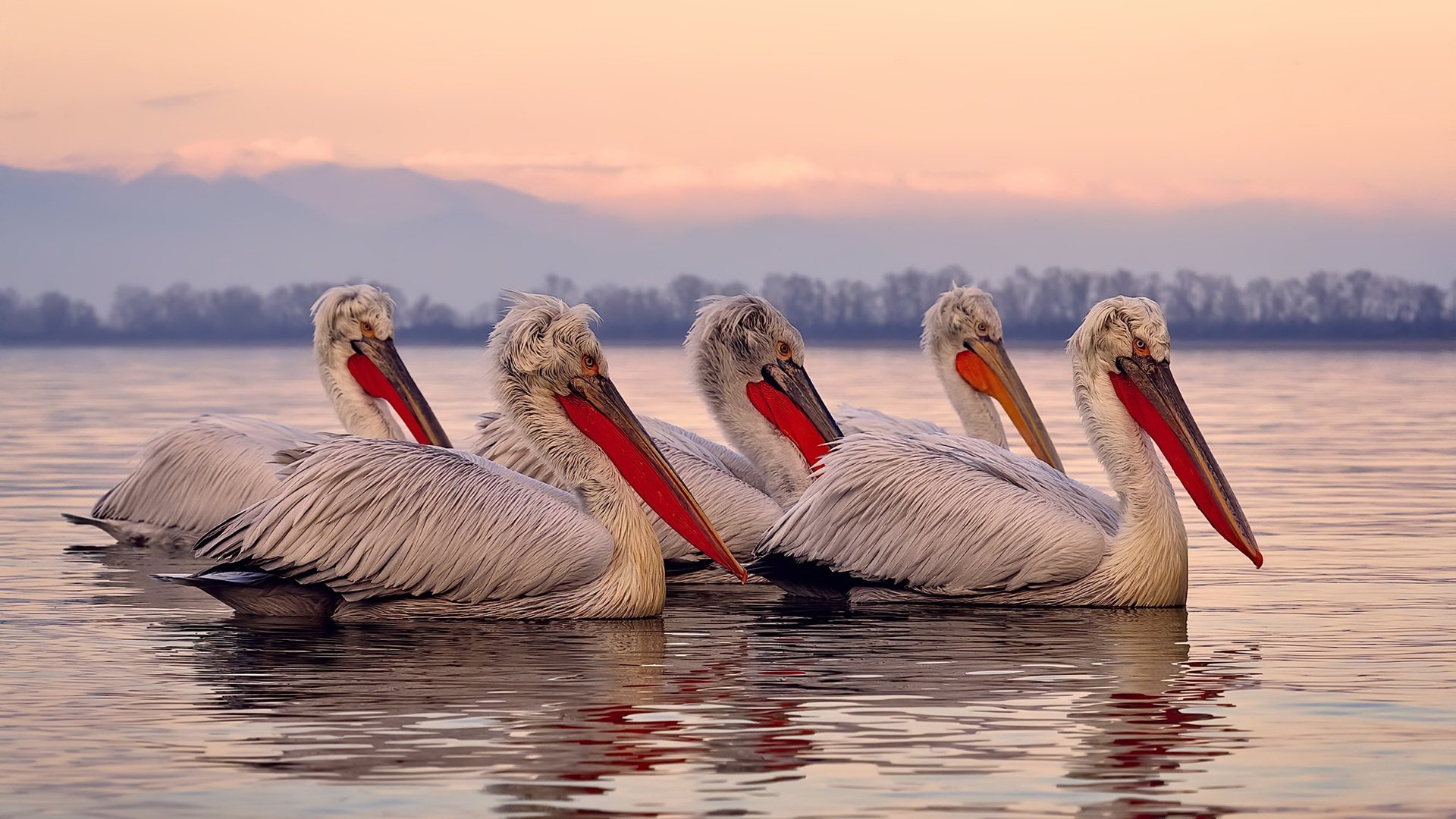 乐鱼体育-特色漂流探险队，挑战河流中的惊险景色，漂流探险作文