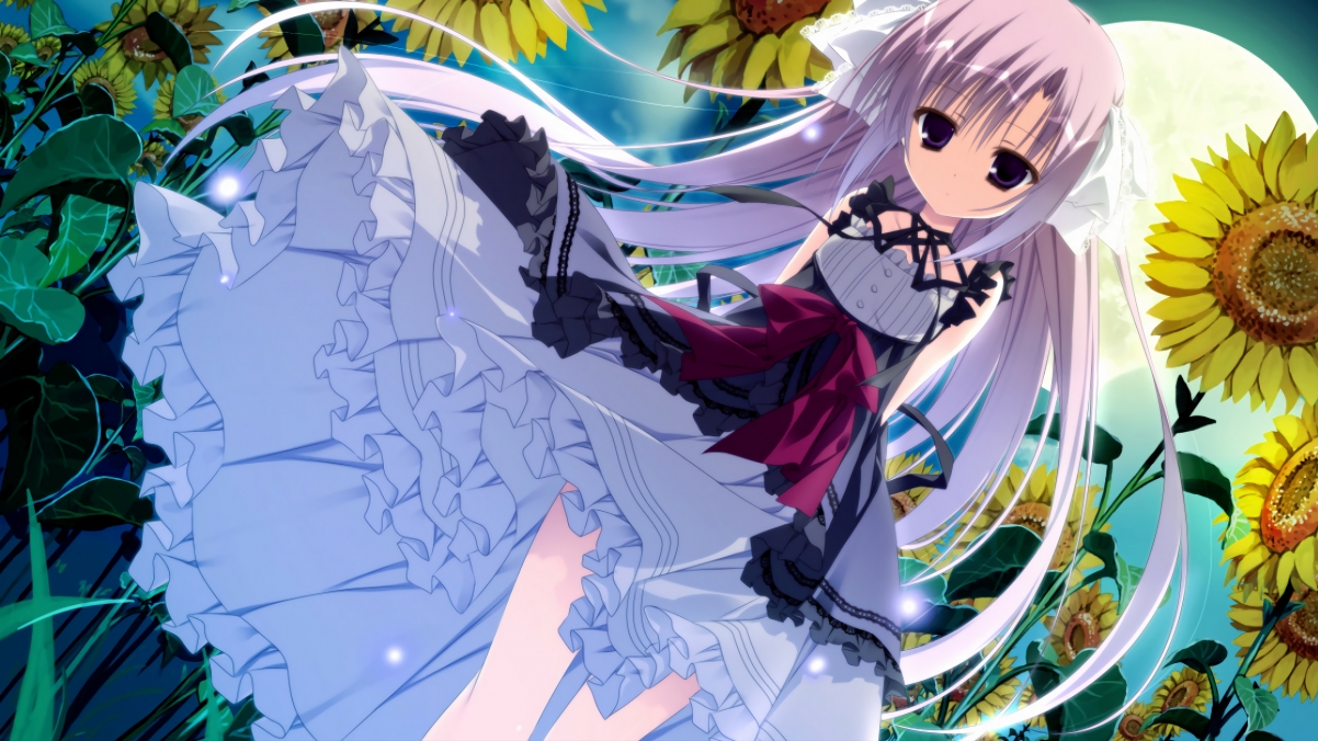 足球相关专业高职招生人数持续上升，足球专业高考