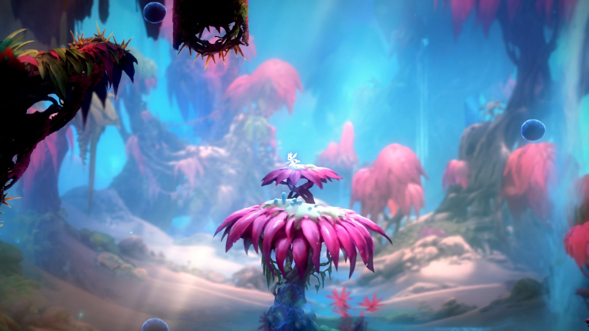 青奥会举办权确定,2027年落户南非开普敦,青奥会有哪些国家参加