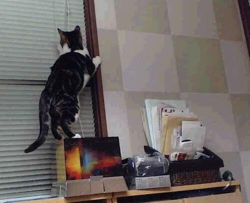 多家俱乐部考察新人才,引援工作加速进行中,俱乐部招人怎么说