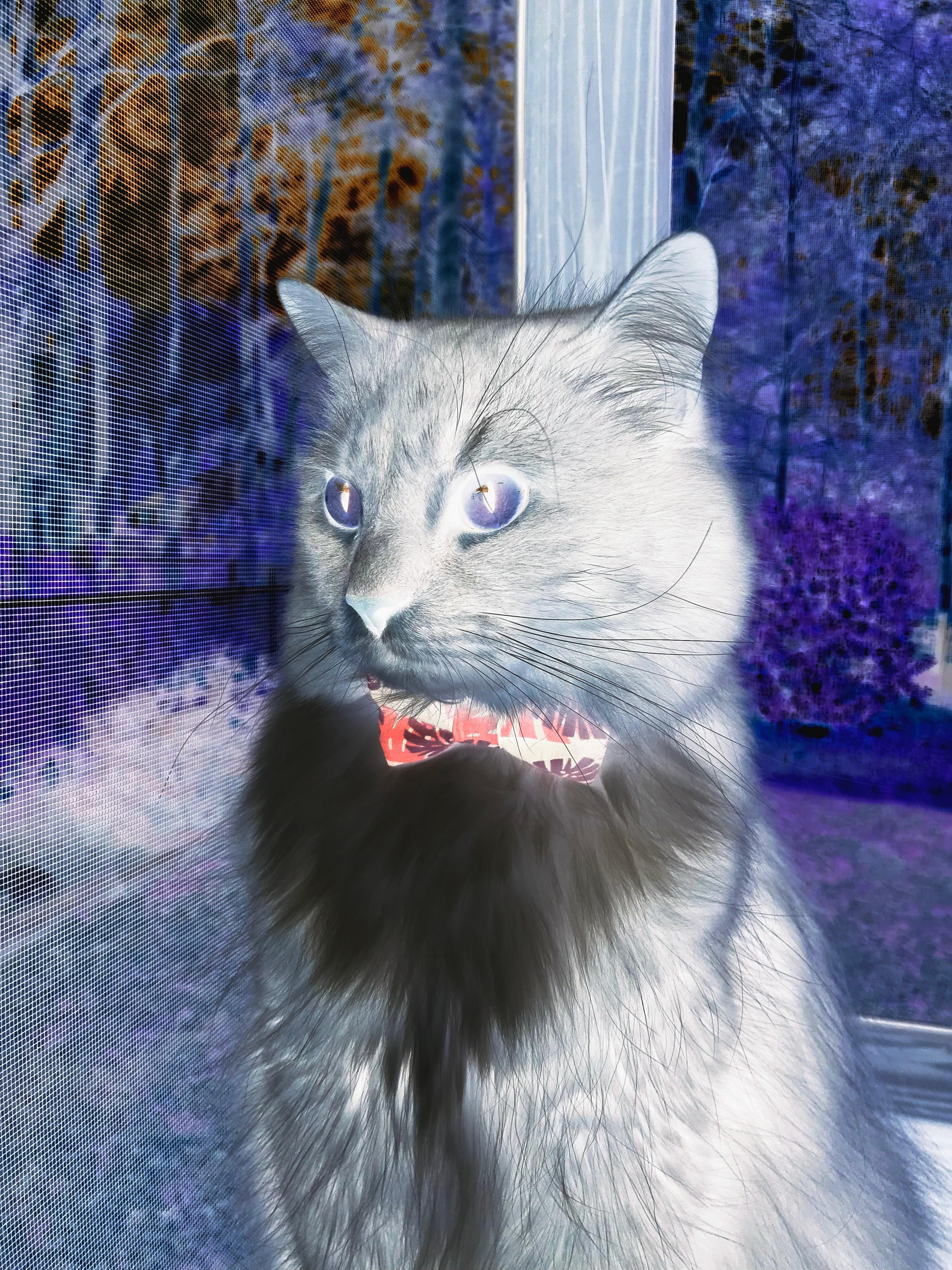 河南队球员在比赛中表现出色，取得惊人胜利，河南省球队