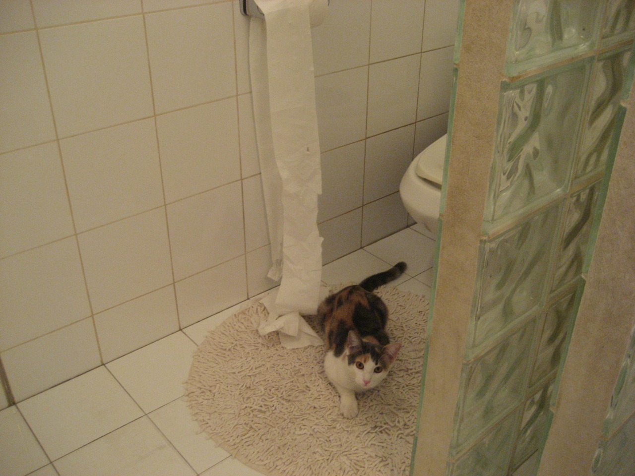 美国男足在巴黎奥运会比赛中以2-0战胜西班牙，奥运会美国足球