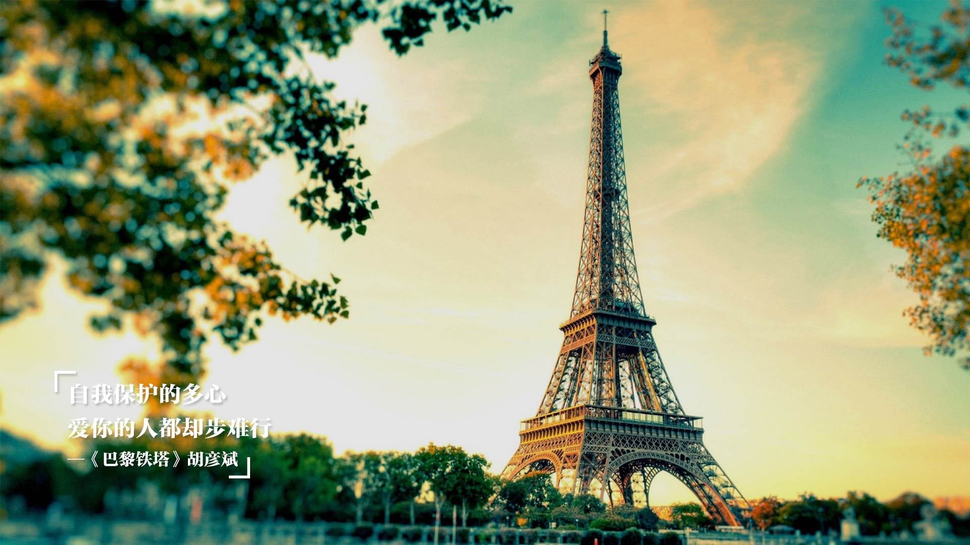 选手社交媒体影响力提升,社交媒体的意见领袖