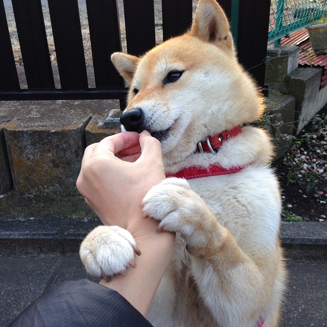 中国篮球联赛市场细分策略及个性化营销研究分析,篮球市场细分方案