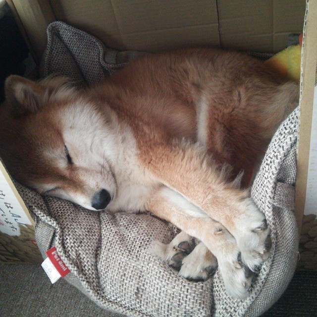 体育产业发展政策解读,体育产业发展政策解读ppt