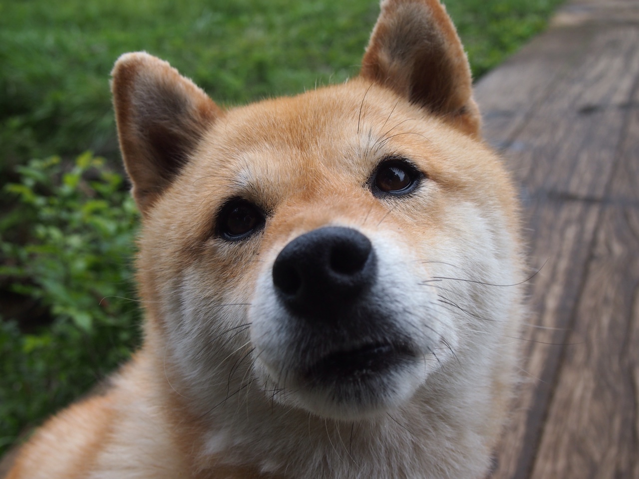 教师技能提升研究,教师个人技能提升计划