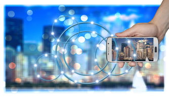 乐鱼娱乐app-智能体育设备维护技术与管理，智能体育设备维护技术与管理专业