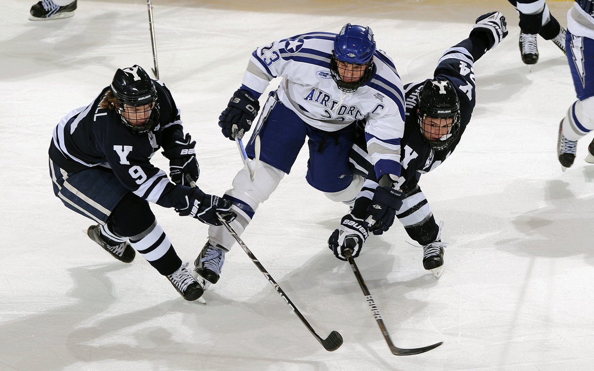 竞技体育后备人才区域均衡发展政策调研，竞技体育后备人才训练管理的重要性及其特点