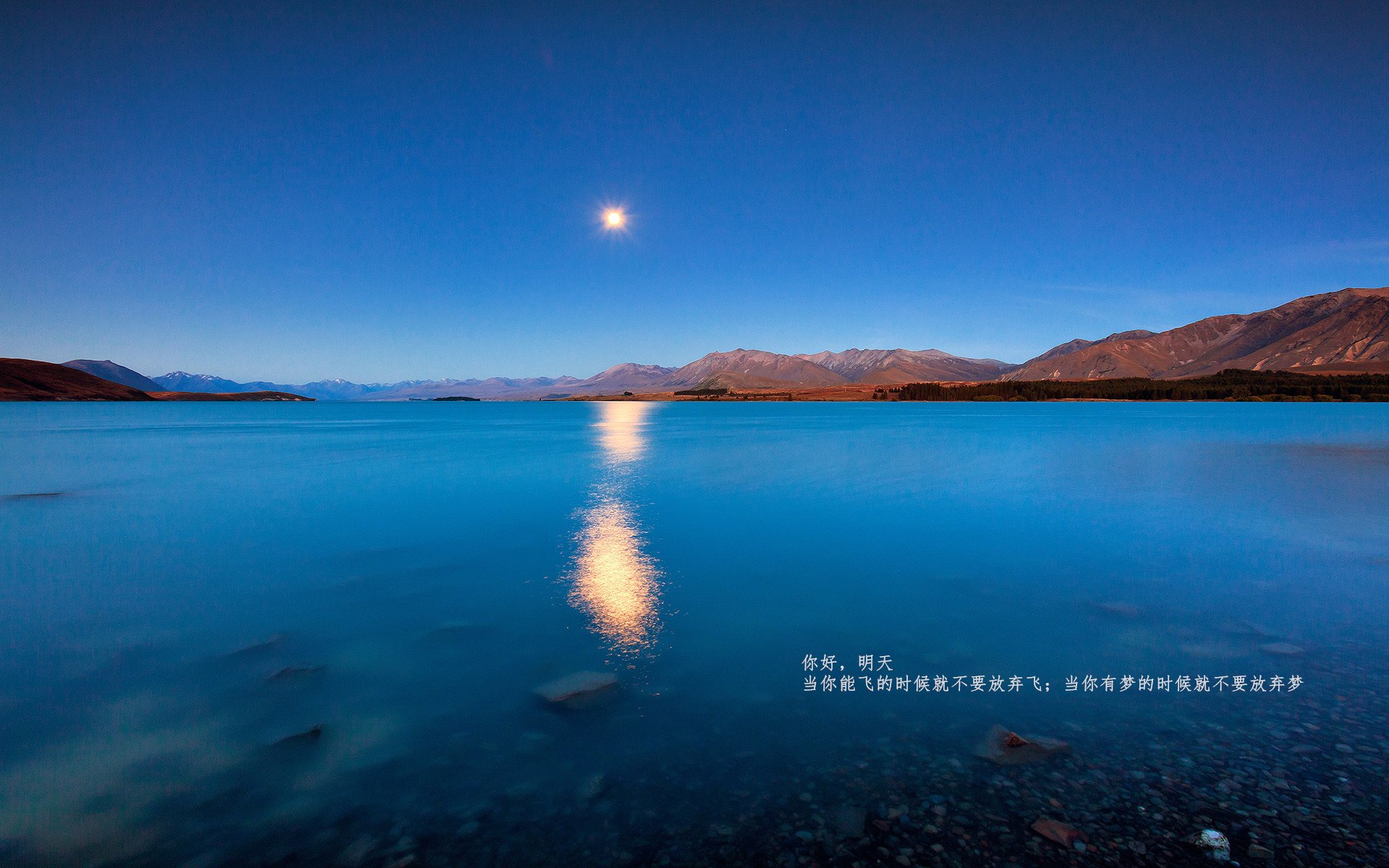 西甲联赛主场错峰时间赛事收入对比分析,西甲主场球场