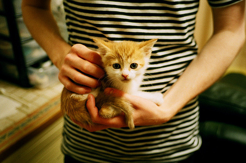 赛前训练效果显著,赛前训练周期采用什么训练原则